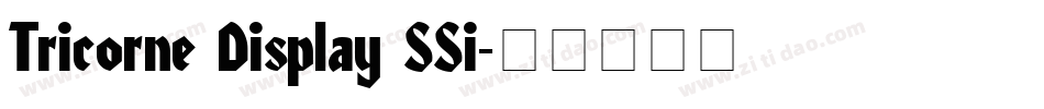 Tricorne Display SSi字体转换